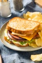 Homemade Fried Bologna Sandwich