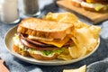 Homemade Fried Bologna Sandwich