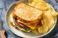 Homemade Fried Bologna Sandwich