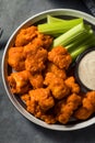 Homemade Fried Boneless Buffalo Chicken Wings Royalty Free Stock Photo