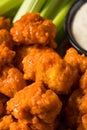 Homemade Fried Boneless Buffalo Chicken Wings Royalty Free Stock Photo