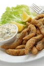 Homemade fried fish fingers with tartar sauce Royalty Free Stock Photo