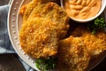 Homemade Fried Green Tomatoes Royalty Free Stock Photo