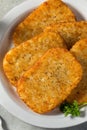 Homemade Fried Hashbrown Patty Royalty Free Stock Photo