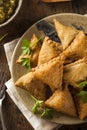 Homemade Fried Indian Samosas Royalty Free Stock Photo