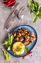 homemade fried meat with boiled rice Royalty Free Stock Photo
