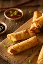 Homemade Fried Pork EggRolls Royalty Free Stock Photo