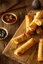 Homemade Fried Pork EggRolls Royalty Free Stock Photo