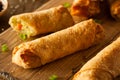 Homemade Fried Pork EggRolls Royalty Free Stock Photo