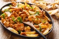 Homemade fried potatoes with forest mushrooms chanterelles close-up on a plate. horizontal Royalty Free Stock Photo