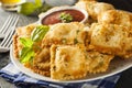 Homemade Fried Ravioli with Marinara Sauce Royalty Free Stock Photo