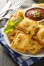 Homemade Fried Ravioli with Marinara Sauce Royalty Free Stock Photo