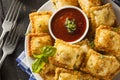 Homemade Fried Ravioli with Marinara Sauce Royalty Free Stock Photo