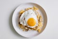 Homemade fried rice with fried egg on top. Royalty Free Stock Photo