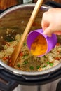 Homemade Fried Rice made in Instant Pot Royalty Free Stock Photo