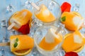 Homemade frozen ice cream popsicles made with oragnic fresh oranges Royalty Free Stock Photo