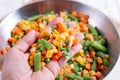 Homemade frozen vegetables Royalty Free Stock Photo