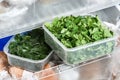 Homemade frozen vegetables Royalty Free Stock Photo