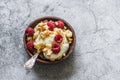 Homemade frozen yogurt ice cream with raspberries and sugar crumb cookies on a grey stone background, top view Royalty Free Stock Photo