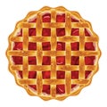 Homemade fruit and berry pie. vector