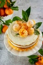 Homemade fruit cake with fresh whole mandarin Royalty Free Stock Photo