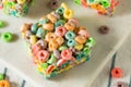 Homemade Fruit Cereal Marshmallow Treat