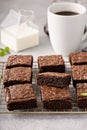 Homemade fudgy brownies on a baking rack Royalty Free Stock Photo