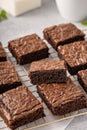 Homemade fudgy brownies on a baking rack Royalty Free Stock Photo