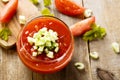 Homemade gazpacho soup with fresh ripe tomatoes and cucumber Royalty Free Stock Photo