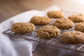 Homemade Ginger and Oats biscuits on a metal cooling rack