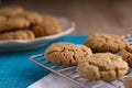 Homemade Ginger and Oats biscuits on a metal cooling rack