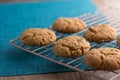 Homemade Ginger and Oats biscuits on a metal cooling rack