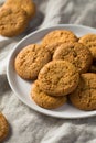 Homemade Ginger Snap Cookies Royalty Free Stock Photo