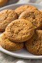 Homemade Ginger Snap Cookies Royalty Free Stock Photo