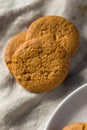 Homemade Ginger Snap Cookies Royalty Free Stock Photo