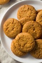 Homemade Ginger Snap Cookies Royalty Free Stock Photo