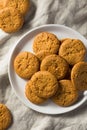 Homemade Ginger Snap Cookies Royalty Free Stock Photo