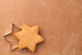 Homemade Gingerbread Cookie Star And Cookie Cutter