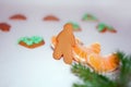 Homemade gingerbread cookies christmas cookies with mandarines near fir tree on white background Royalty Free Stock Photo