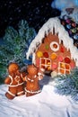 Homemade gingerbread house Royalty Free Stock Photo