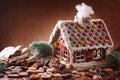 Homemade gingerbread house Royalty Free Stock Photo