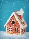 Homemade gingerbread house