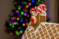 Homemade gingerbread house decorated with icing and candy canes with blurred Christmas tree on background Royalty Free Stock Photo