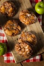 Homemade Glazed Apple Fritters Royalty Free Stock Photo