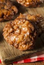 Homemade Glazed Apple Fritters Royalty Free Stock Photo