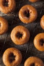 Homemade Glazed Autumn Pumpkin Donuts