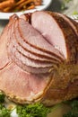 Homemade Glazed Easter Spiral Cut Ham Royalty Free Stock Photo