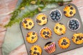 Homemade gluten free almond flour blueberry muffins in the baking tray Royalty Free Stock Photo