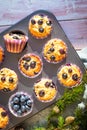 Homemade gluten free almond flour blueberry muffins in the baking tray Royalty Free Stock Photo