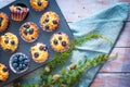 Homemade gluten free almond flour blueberry muffins in the baking tray Royalty Free Stock Photo